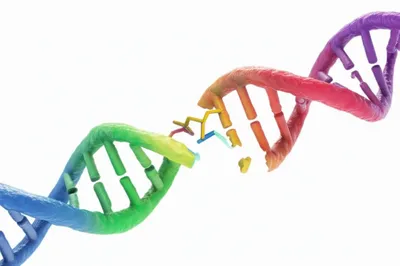 Illustration linker - Image 1