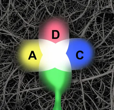 Illustration scrape - Image 1