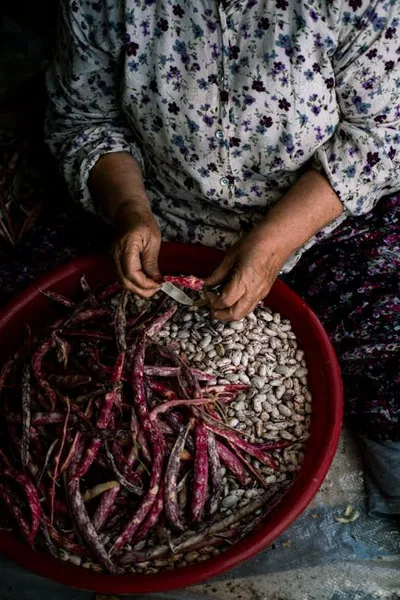 Illustration husking - Image 2