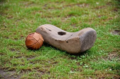 Illustration trap - Image 1