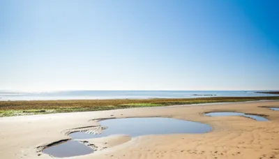 Illustration foreshore