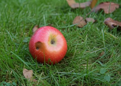 Illustration plop - Image 1