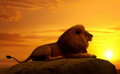 Illustration der - Image 1