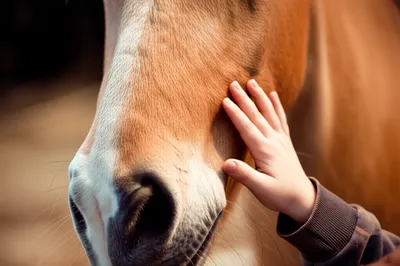 Illustration horsey - Image 1