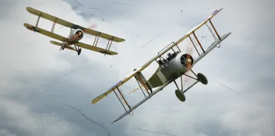 Illustration crabs - Image 1