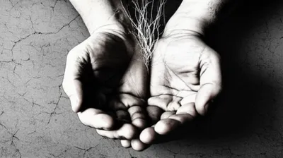 Illustration stolen - Image 1