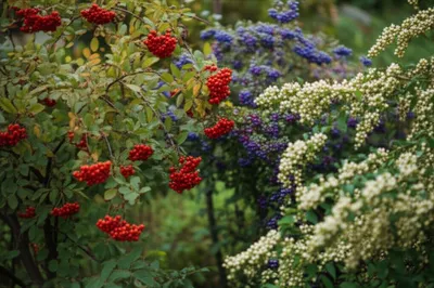 Illustration elders - Image 1