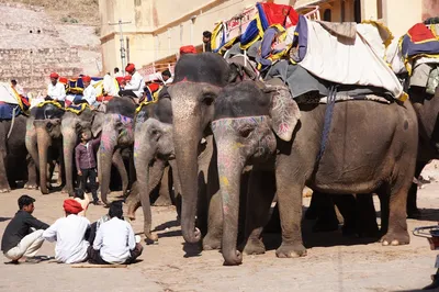 Illustration keepers - Image 2