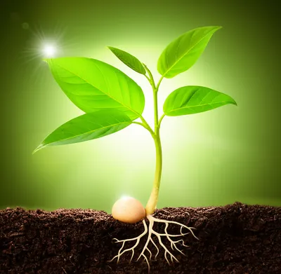 Hình ảnh minh họa humanize - Ảnh 1