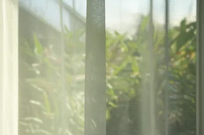 Illustration sheers - Image 1