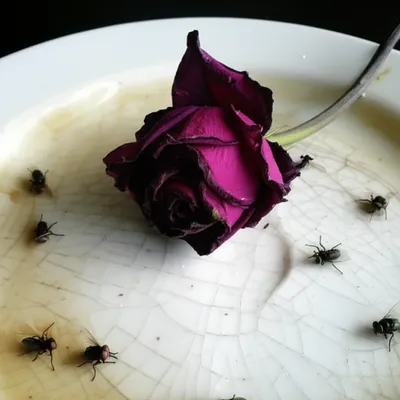 Illustration unappealing