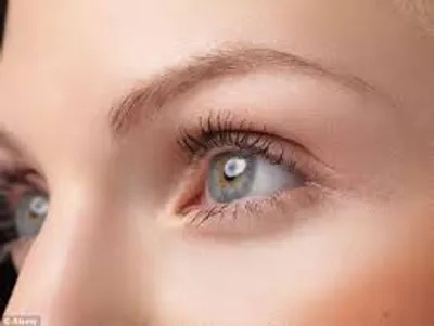 Illustration optical - Image 4