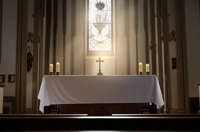 Illustration sanctuary - Image 1