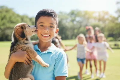 Illustration gladden