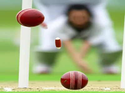 Illustration wickets - Image 1