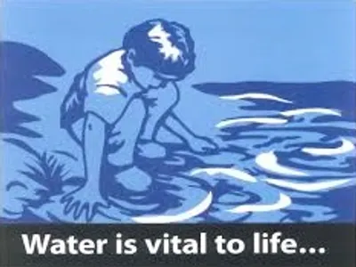 Illustration vital - Image 4