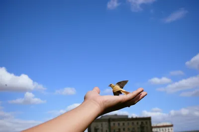 Illustration resignations