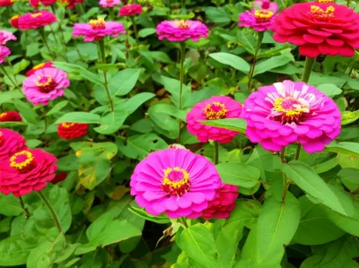 Illustration mortifying - Image 1