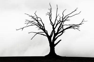 Illustration contrasty