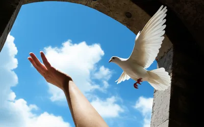 Illustration renouncing - Image 1