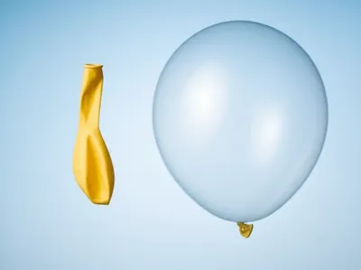 Illustration belly - Image 1