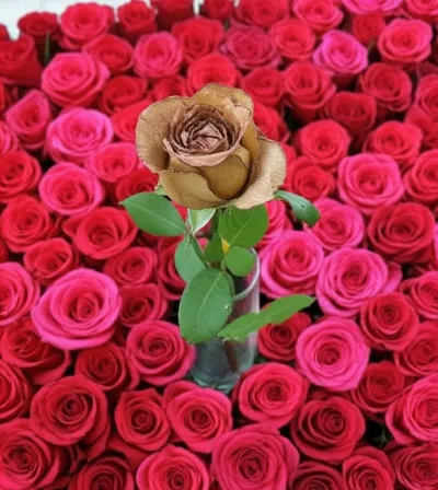 Illustration unpopular - Image 1