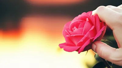 Illustration sensibility - Image 1