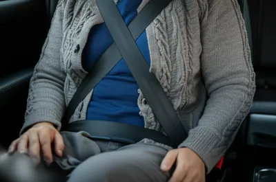 Illustration belt - Image 1