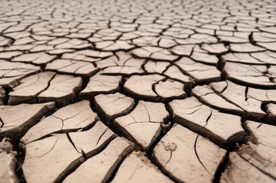 Illustration springs - Image 1