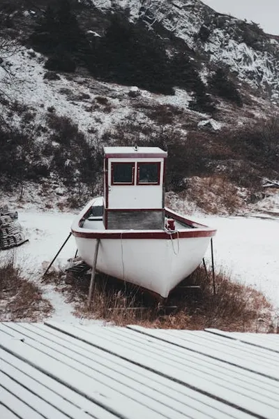 Illustration hauled - Image 2