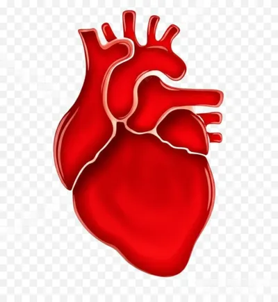 Illustration plethora - Image 1