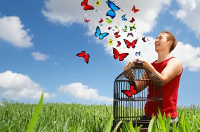 Illustration rids - Image 1