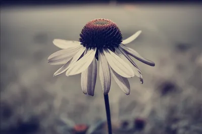 Illustration shattered - Image 1