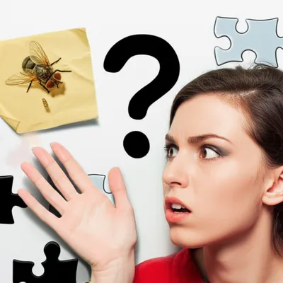 Hình ảnh minh họa stickers - Ảnh 1