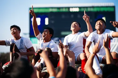 Illustration survives - Image 1