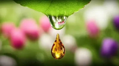 Illustration tears - Image 1