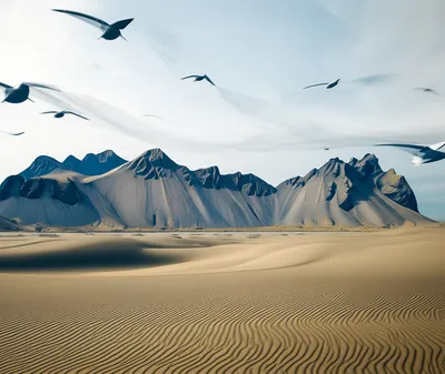 Illustration forms - Image 1