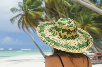 Illustration palmetto - Image 1