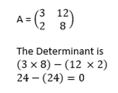 Illustration singular - Image 2