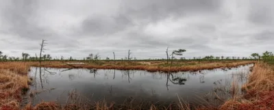 Illustration sloughs of despond - Image 1