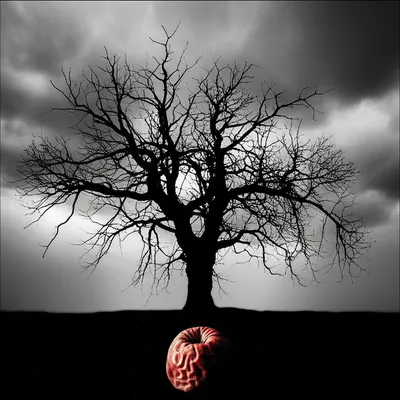 Illustration robbing - Image 1