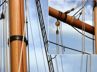 Illustration tong - Image 1