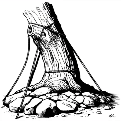 Illustration immovable