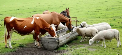 Illustration drinker - Image 1