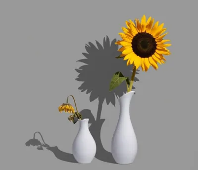 Illustration disparaging - Image 1