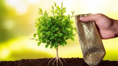 Illustration vest - Image 1