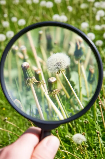 Illustration notices - Image 1