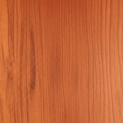 Illustration mahogany - Image 1