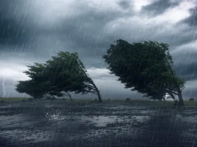 Illustration elements - Image 1