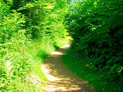 Illustration turnings - Image 1